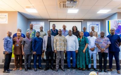 VRA Must Take Charge of Power Generation – Energy Minister